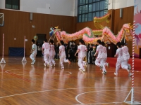 舞龙 (9)