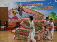 舞龙 (4)